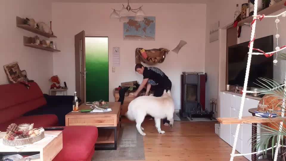 38. Trick Challenge: Slalom durch die Arme-Beitrag-Bild