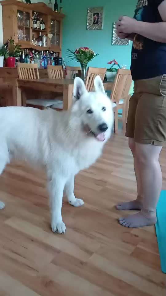 75.Trickchallenge: Bring etwas einer Person-Beitrag-Bild