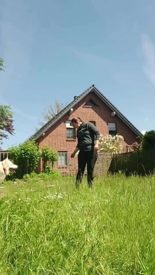 89.Gemeinsames Tricktraining ,,Dreh Dich,,-Beitrag-Bild