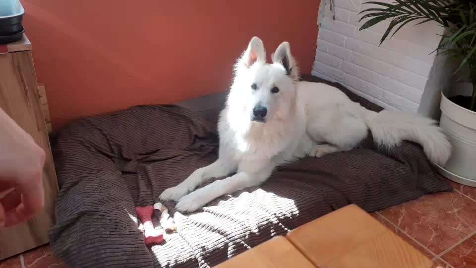 Impulskontrolle Challenge Nr 9 "Unbeobachtet"-Beitrag-Bild