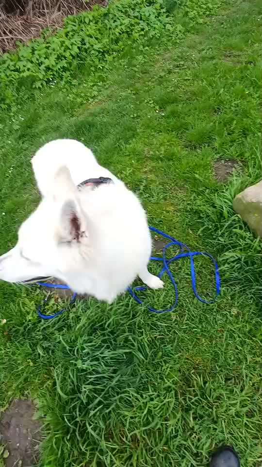 Trick Spiel - Koffer packen - der 17.-Beitrag-Bild