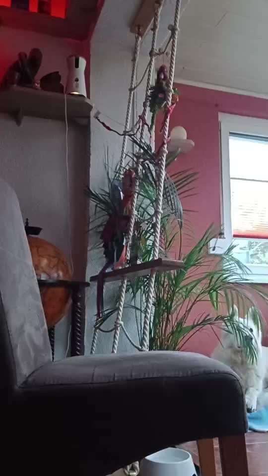 87. Trickchallenge: kinntarget-Beitrag-Bild