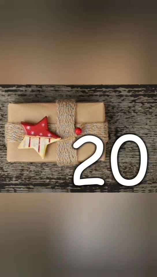 Action-Fun Hund- Aventskalender-Beitrag-Bild