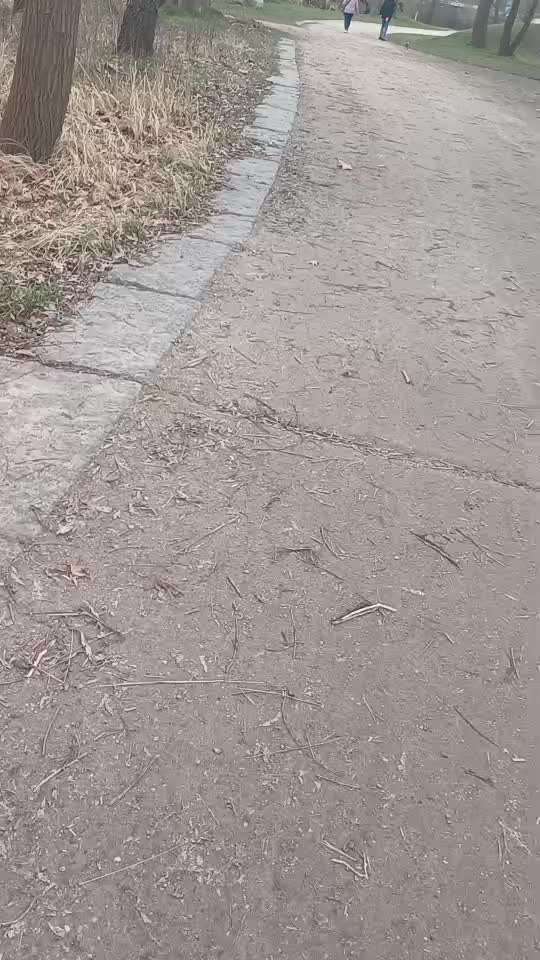 50. Impulskontrolle Übung: Verfolgen-Beitrag-Bild