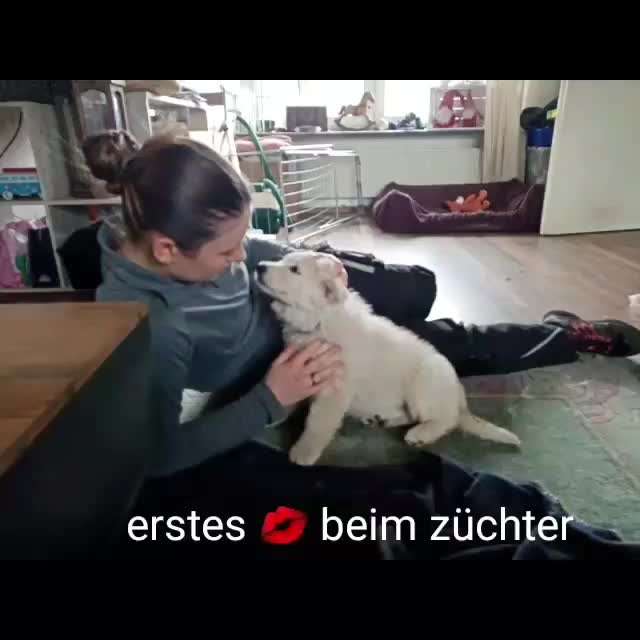 8. Kurzgeschichten Challenge 
Wie ich groß geworden bin-Beitrag-Bild