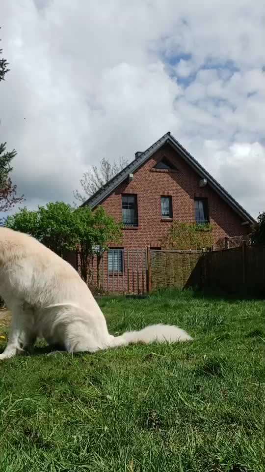 69. Tricktraining: Rücken an Rücken-Beitrag-Bild