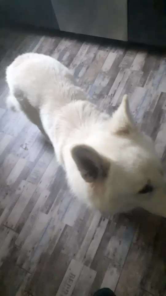 Trick Spiel - ich packe meinen 10. Koffer-Beitrag-Bild