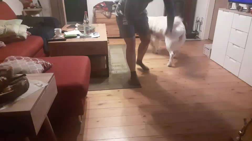 Trickchallenge - ich packe meinen 4. Koffer-Beitrag-Bild