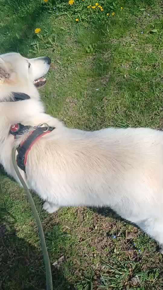 Trick Spiel - Koffer packen - der 17.-Beitrag-Bild