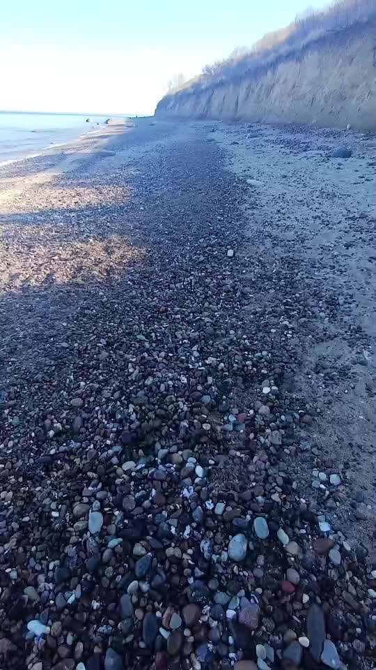 Impulskontroll Übung 70: Gemeinsam-Beitrag-Bild