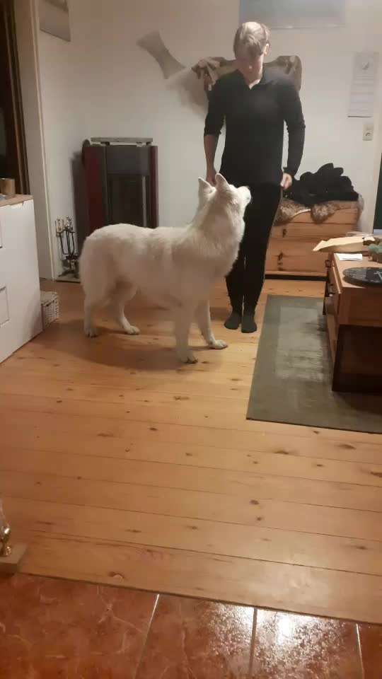 Trickchallenge - ich packe meinen 6. Koffer-Beitrag-Bild