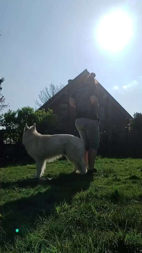 69. Tricktraining: Rücken an Rücken-Beitrag-Bild