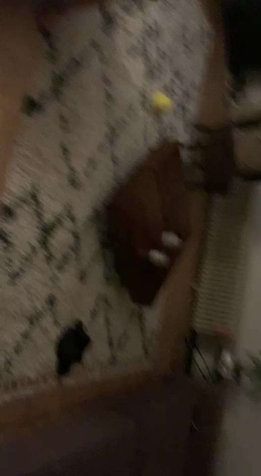 Zeigt hier Euer liebstes Video Eurer Hunde-Beitrag-Bild