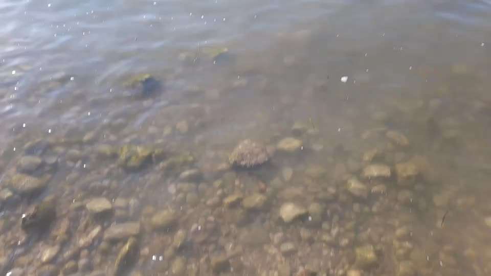 Video Challenge Nr.6
Auf den Spuren der Freiheit🐾🐾-Beitrag-Bild