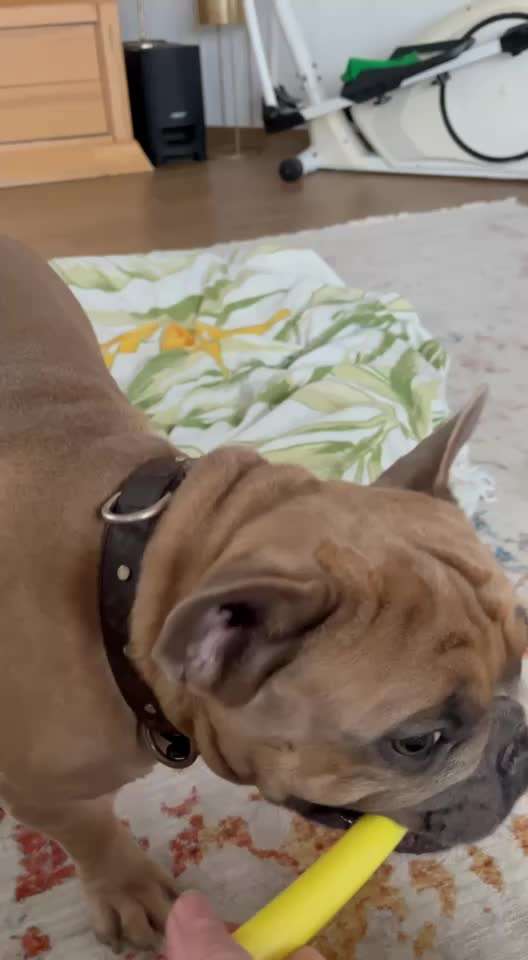 Amputation eines Beines-Beitrag-Bild