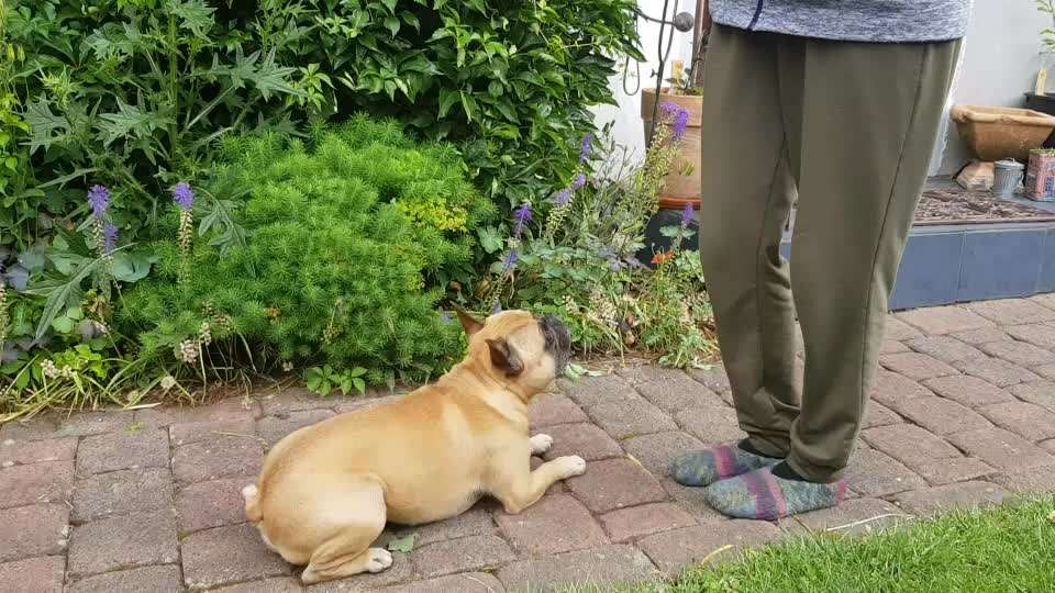 FUN AUFGABEN TOUR-Beitrag-Bild