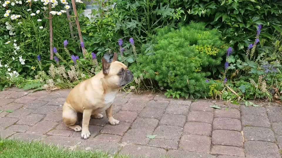 FUN AUFGABEN TOUR-Beitrag-Bild