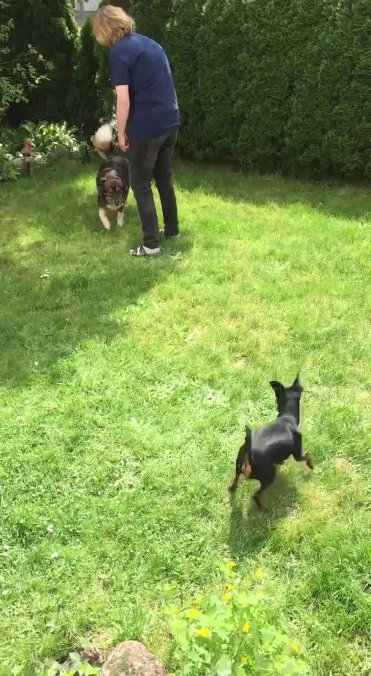 Senioren können auch aufdrehen-Beitrag-Bild