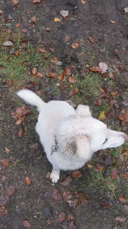 𝕋ℝ𝕀ℂ𝕂 ℂℍ𝔸𝕃𝕃𝔼ℕ𝔾𝔼 ℕℝ. 𝟙-Beitrag-Bild