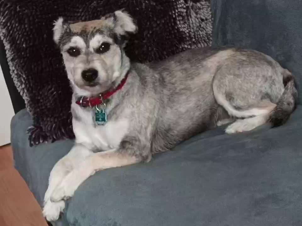 Doppelgänger gesucht !-Beitrag-Bild