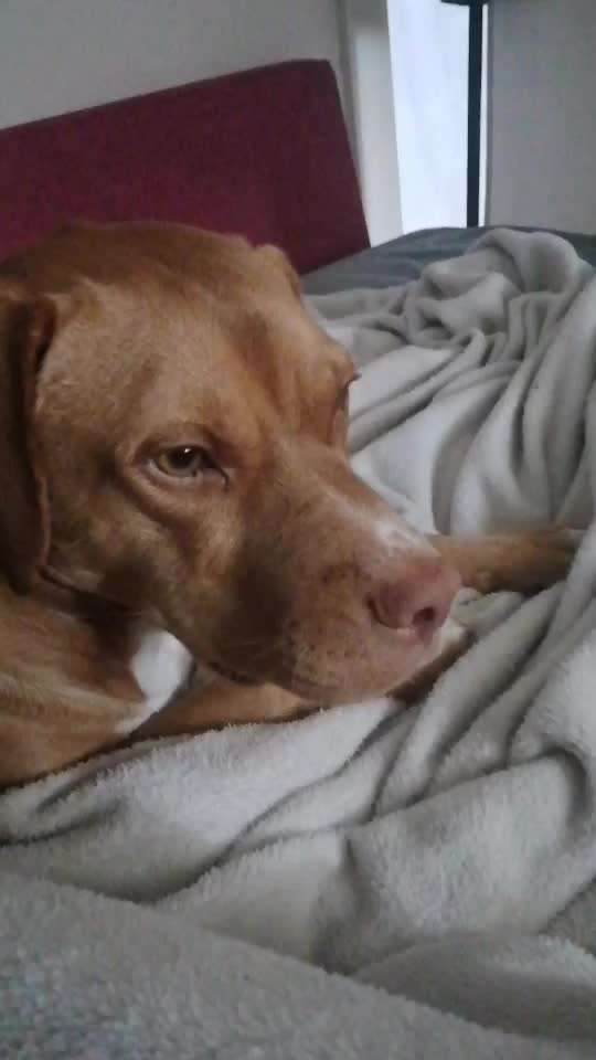 Das ABAM-Konzept Erfahrungsaustausch-Beitrag-Bild