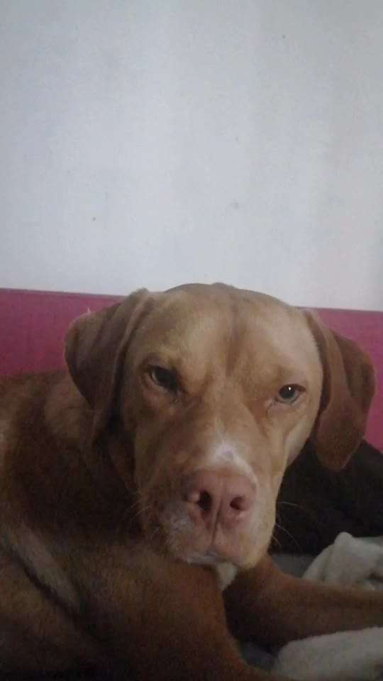 Das ABAM-Konzept Erfahrungsaustausch-Beitrag-Bild