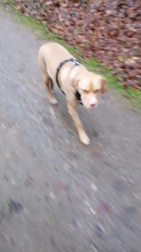 Zeigt mir eure Lieblingsfotos ♡♡-Beitrag-Bild