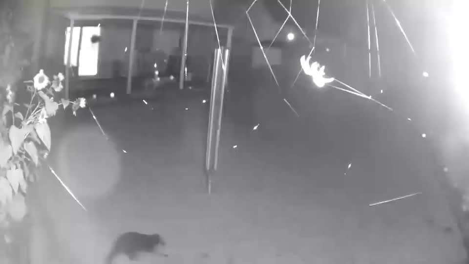 Was macht ihm Angst?-Beitrag-Bild