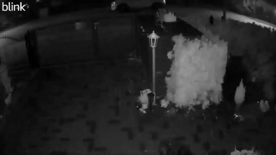 Was macht ihm Angst?-Beitrag-Bild