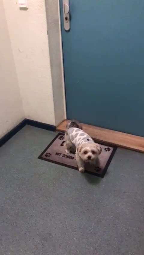 Röcheln-Beitrag-Bild