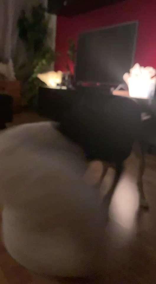 Erfahrung mit Wolkenbett-Beitrag-Bild