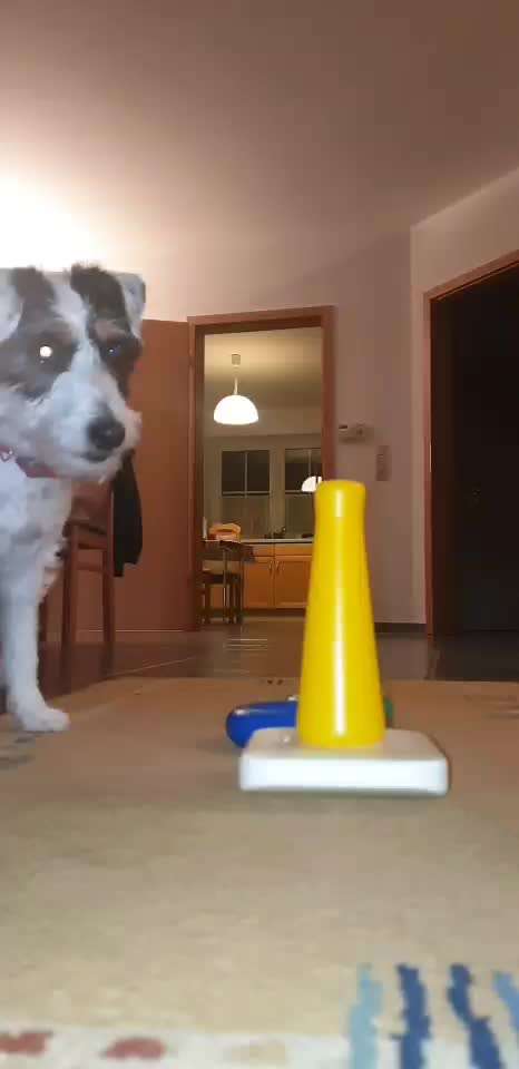 Trick Challenge ABC-Beitrag-Bild