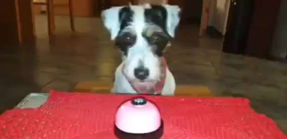 Trick Challenge ABC-Beitrag-Bild