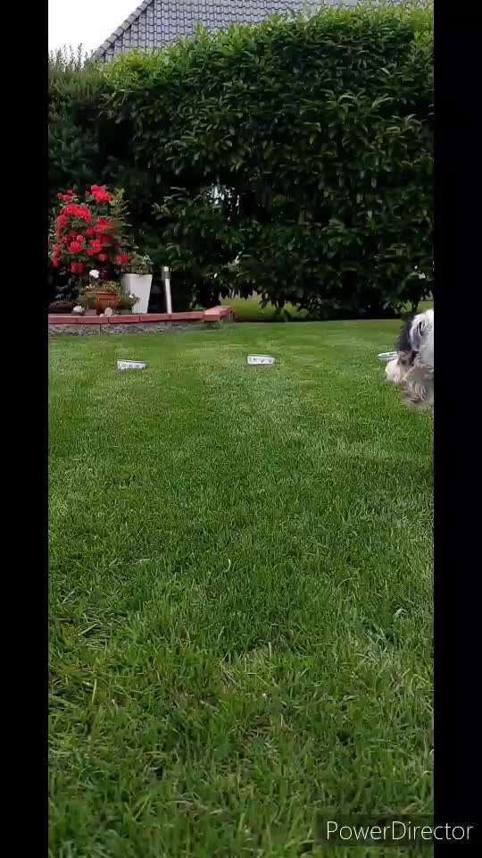 Trick Challenge ABC-Beitrag-Bild