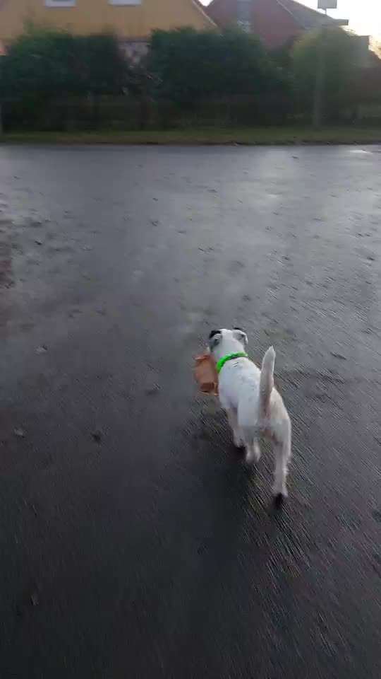 Trick Challenge ABC-Beitrag-Bild