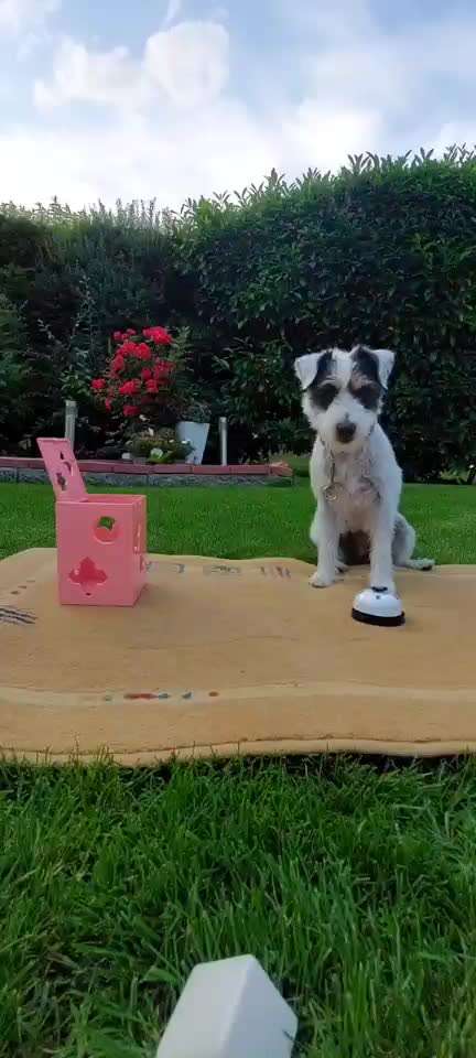 Trick Challenge ABC-Beitrag-Bild