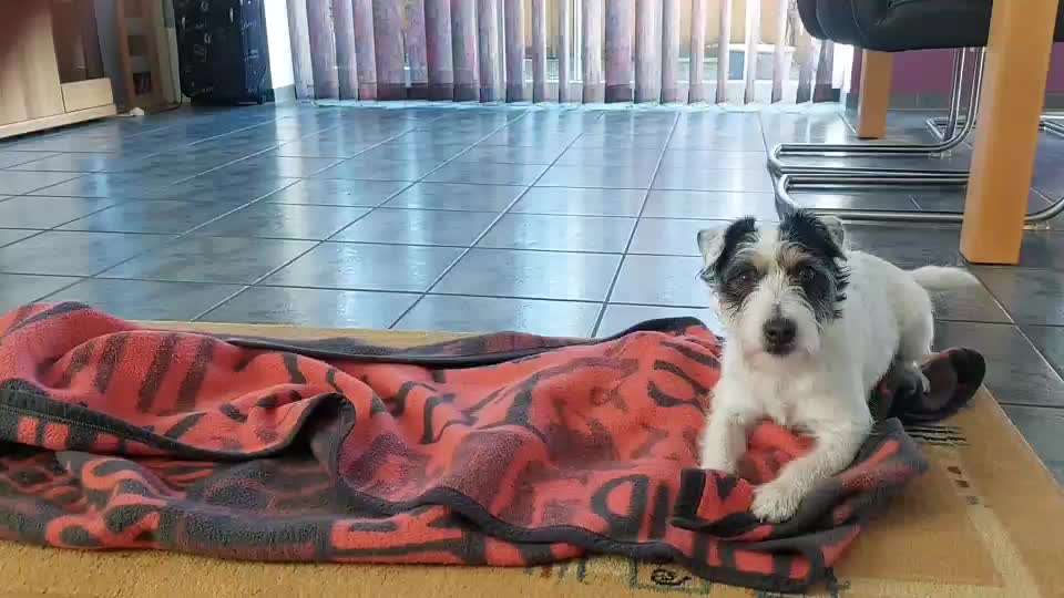 Trick Challenge ABC-Beitrag-Bild