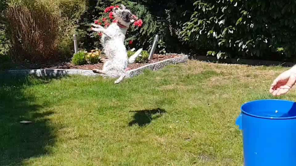 Trick Challenge ABC-Beitrag-Bild