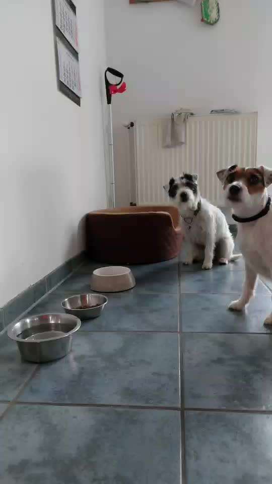 Trick Challenge ABC-Beitrag-Bild