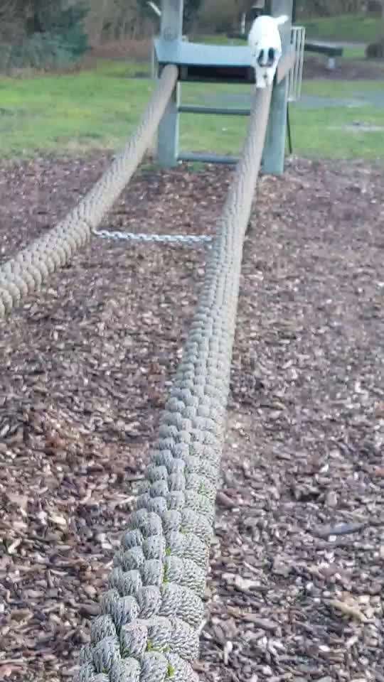 Trick Challenge ABC-Beitrag-Bild