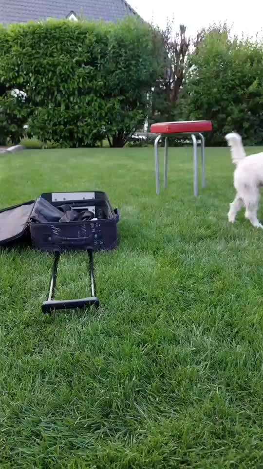 Trick Challenge ABC-Beitrag-Bild