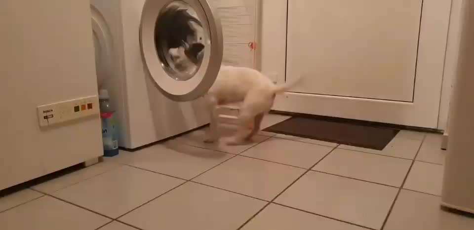 Trick Challenge ABC-Beitrag-Bild