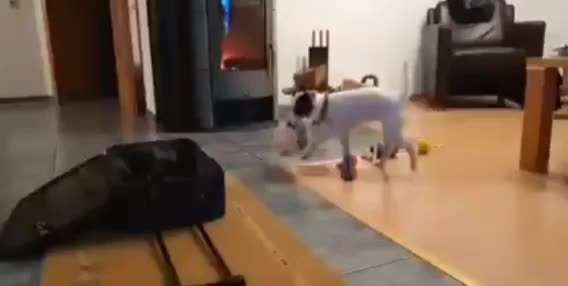 Trick Challenge ABC-Beitrag-Bild