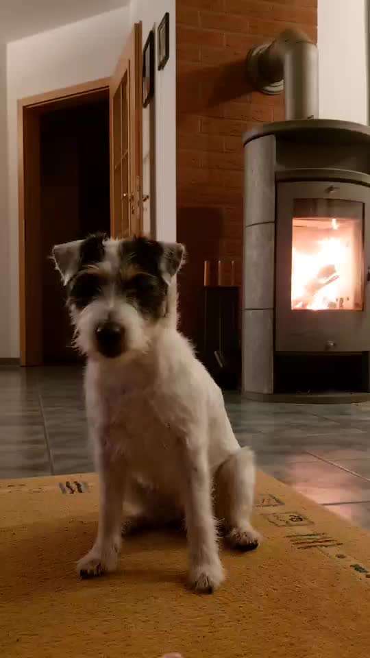 Trick Challenge ABC-Beitrag-Bild