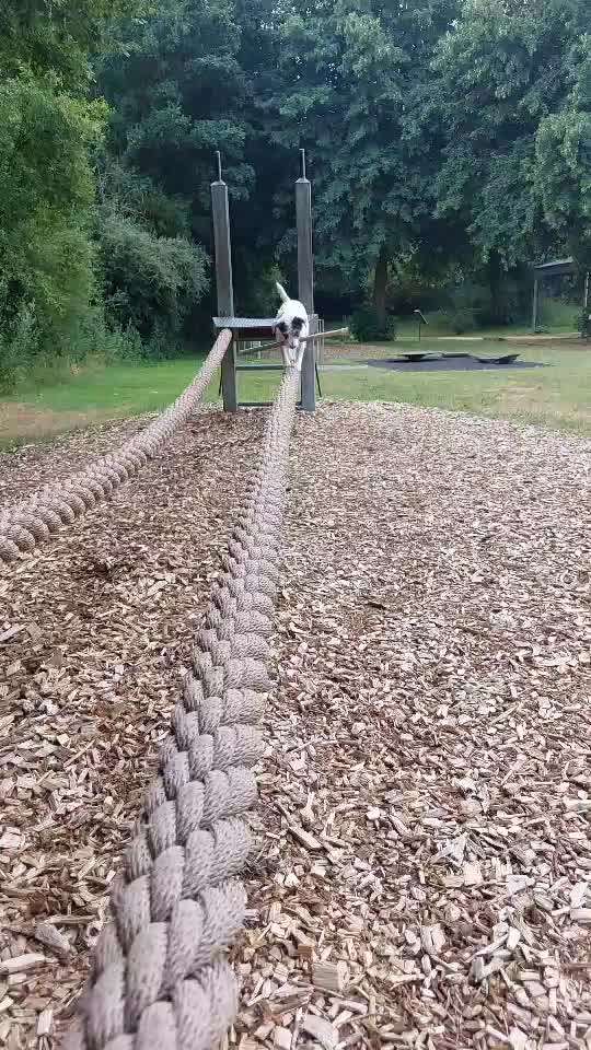 Trick Challenge ABC-Beitrag-Bild