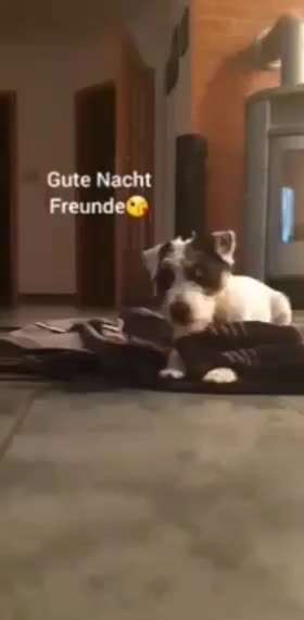 Trick Challenge ABC-Beitrag-Bild