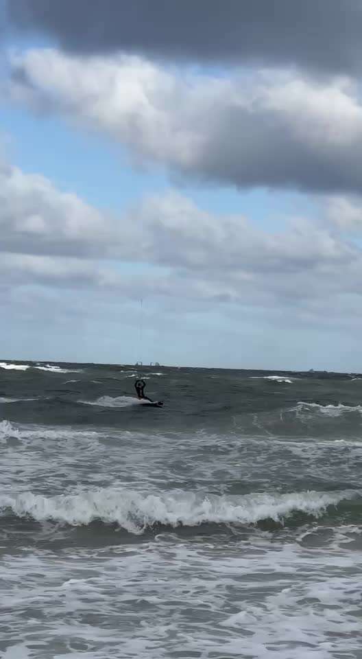 Rhodesian Ridgeback-Beitrag-Bild