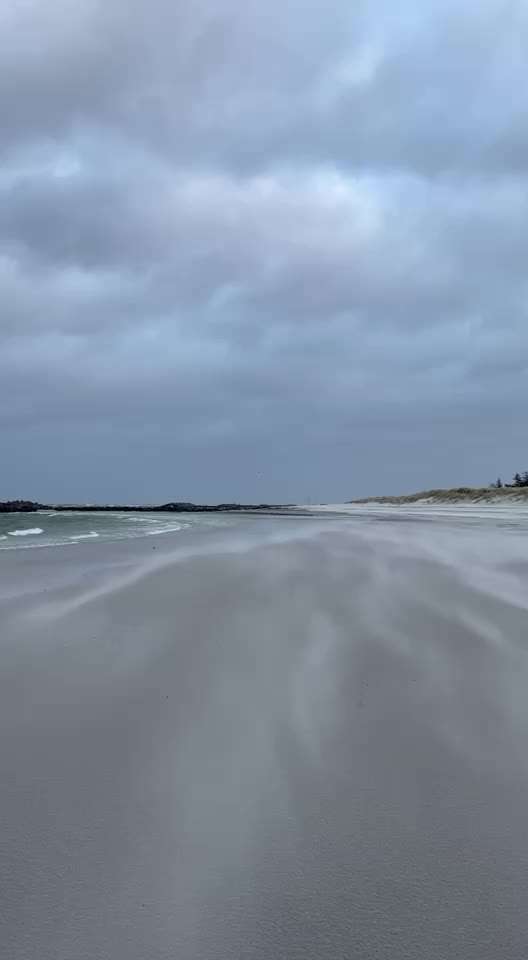 Rhodesian Ridgeback-Beitrag-Bild