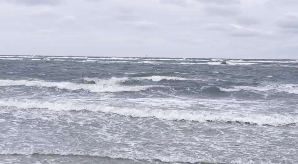 Rhodesian Ridgeback-Beitrag-Bild