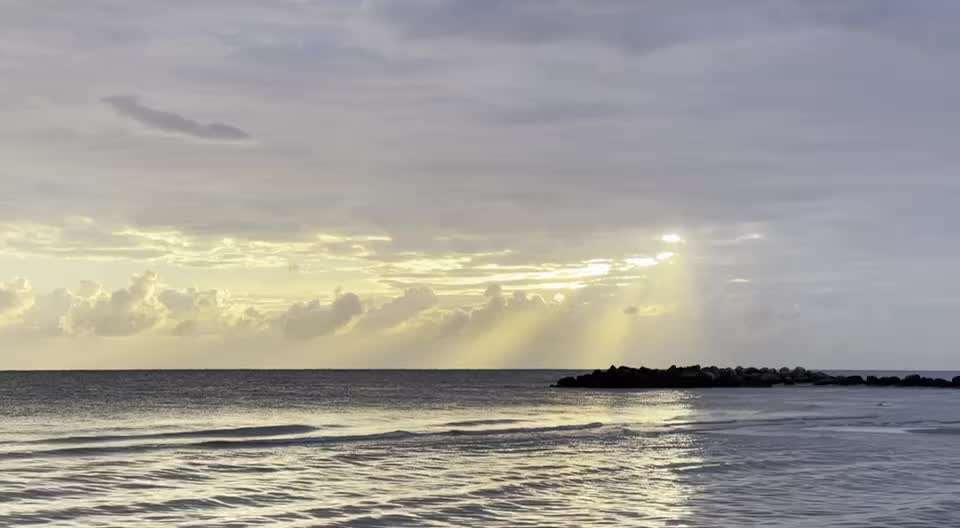 Rhodesian Ridgeback-Beitrag-Bild